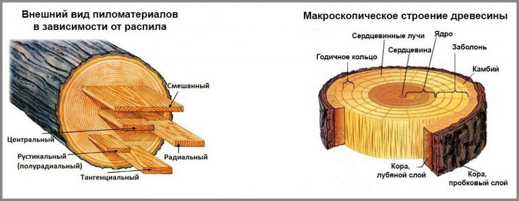 Как отличить сухостой от нормальной доски